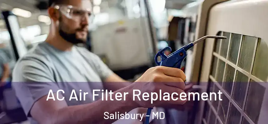  AC Air Filter Replacement Salisbury - MD