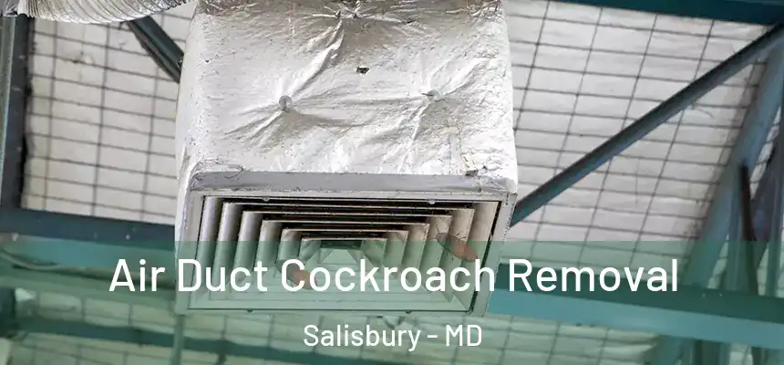 Air Duct Cockroach Removal Salisbury - MD