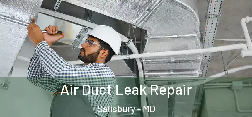 Air Duct Leak Repair Salisbury - MD