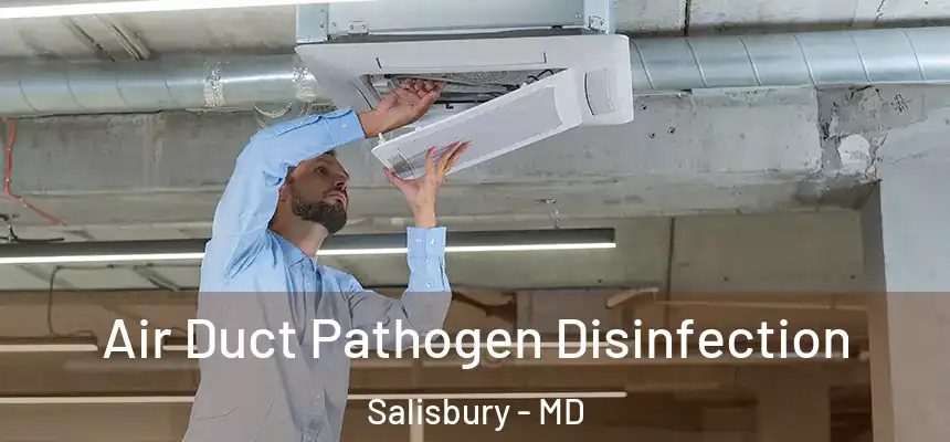  Air Duct Pathogen Disinfection Salisbury - MD