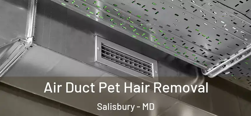  Air Duct Pet Hair Removal Salisbury - MD