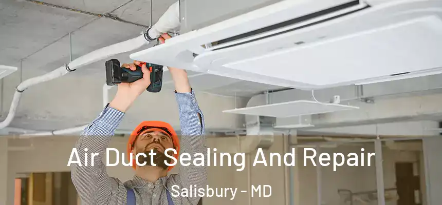  Air Duct Sealing And Repair Salisbury - MD