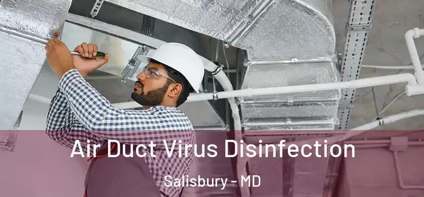 Air Duct Virus Disinfection Salisbury - MD
