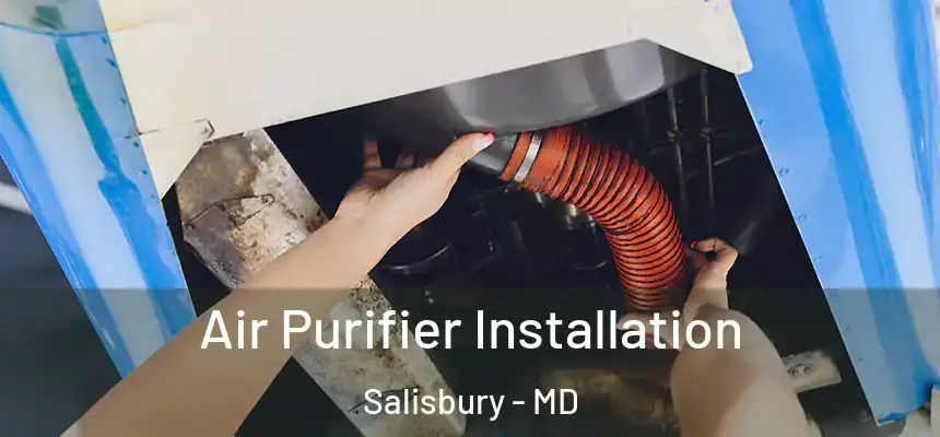  Air Purifier Installation Salisbury - MD