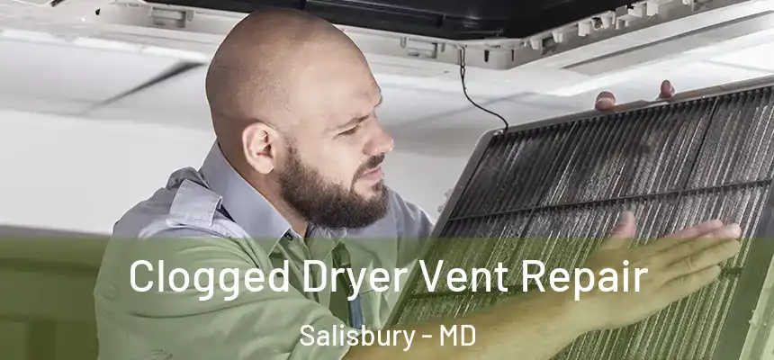 Clogged Dryer Vent Repair Salisbury - MD