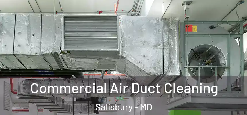  Commercial Air Duct Cleaning Salisbury - MD