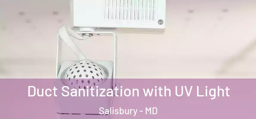  Duct Sanitization with UV Light Salisbury - MD