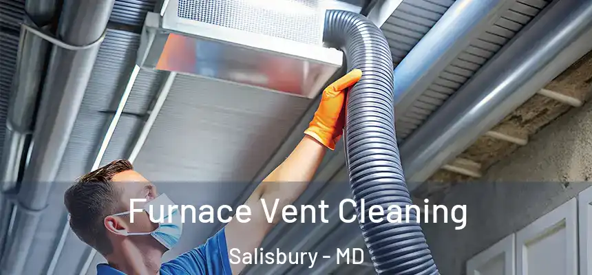  Furnace Vent Cleaning Salisbury - MD