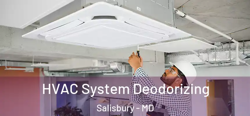 HVAC System Deodorizing Salisbury - MD