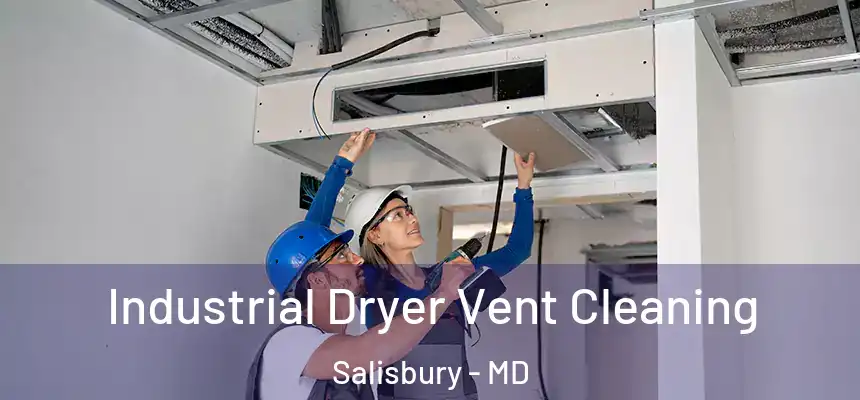 Industrial Dryer Vent Cleaning Salisbury - MD