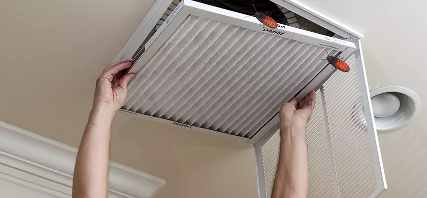 Preventive Cockroach-Proofing for Ducts in Salisbury