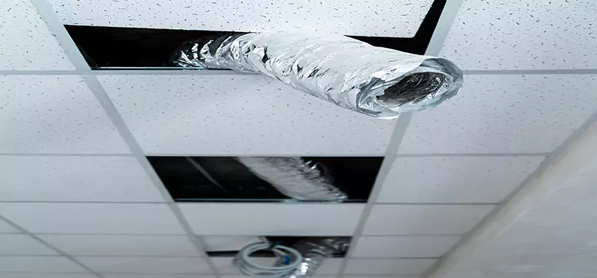 Affordable HVAC Sanitizing After Pest Removal in Salisbury