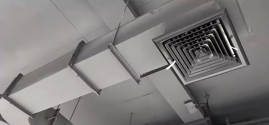 Restorative Allergy Relief Vent Cleaning – Coil, Blower & Housing Detail in Salisbury