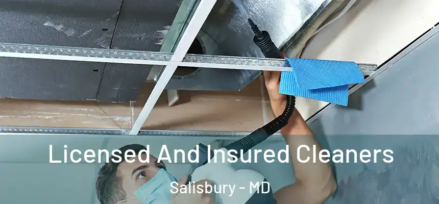 Licensed And Insured Cleaners Salisbury - MD