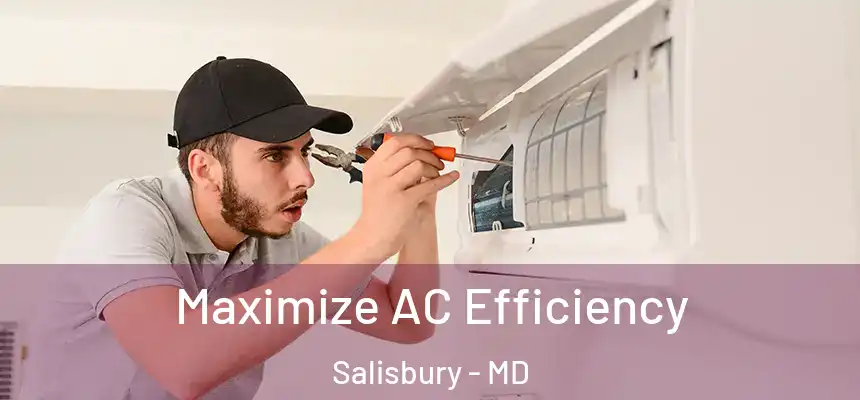  Maximize AC Efficiency Salisbury - MD