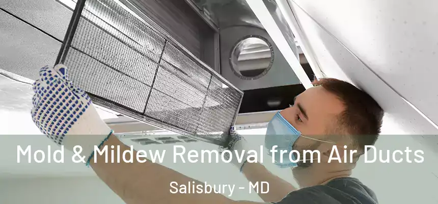 Mold & Mildew Removal from Air Ducts Salisbury - MD