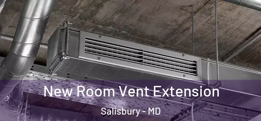 New Room Vent Extension Salisbury - MD