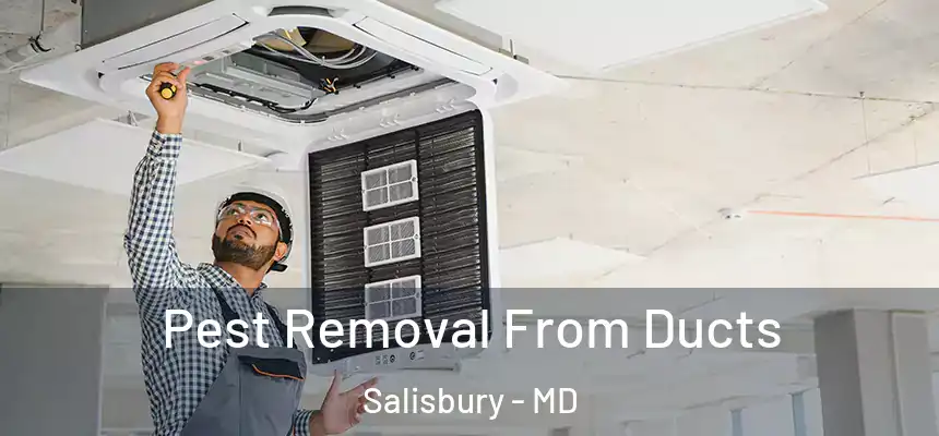 Pest Removal From Ducts Salisbury - MD