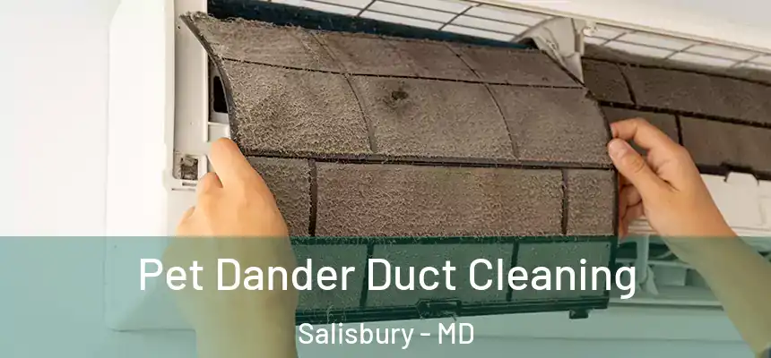  Pet Dander Duct Cleaning Salisbury - MD