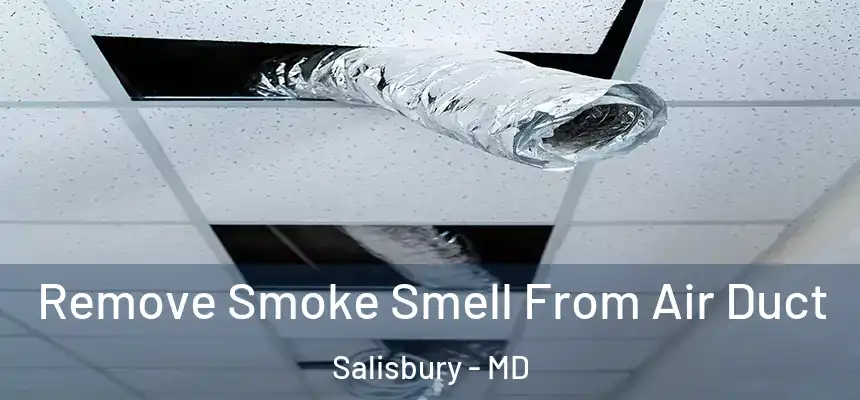  Remove Smoke Smell From Air Duct Salisbury - MD