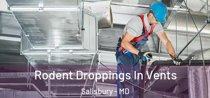  Rodent Droppings In Vents Salisbury - MD