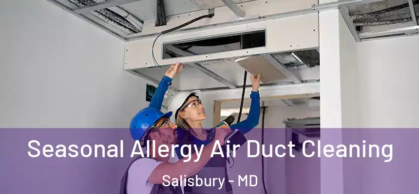  Seasonal Allergy Air Duct Cleaning Salisbury - MD