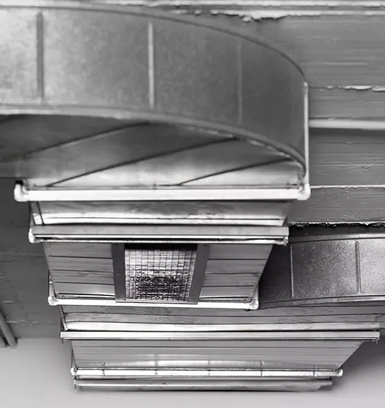 Professional Air Duct Pest Removal in Salisbury, MD