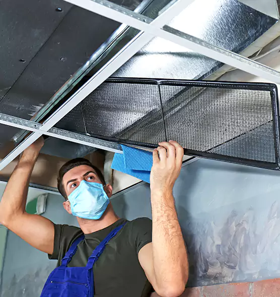 Professional Air Duct Pollen Cleaning in Salisbury, MD