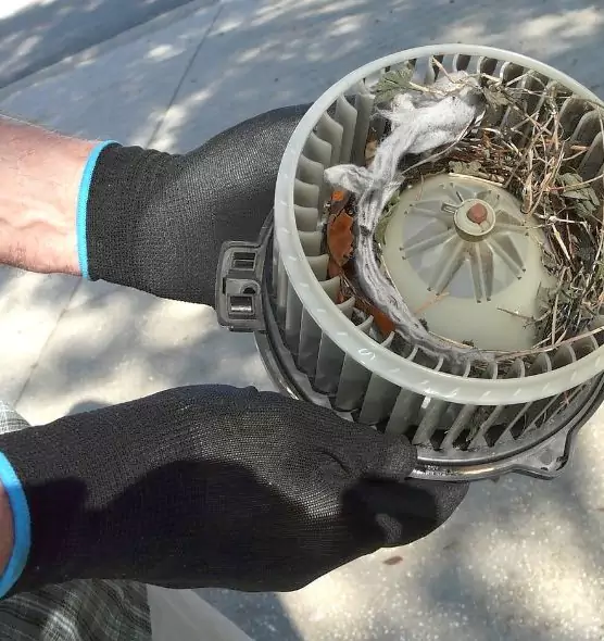 About Air Duct Rat Removal in Salisbury, MD