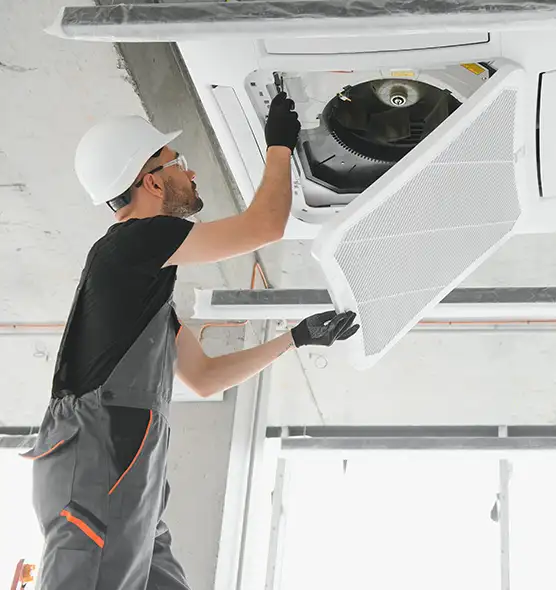 About Air Duct Rodent Removal in Salisbury, MD