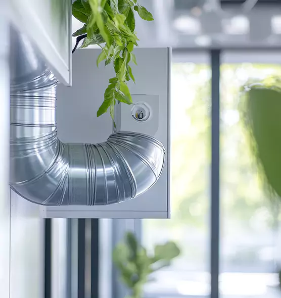 Professional Eco-Friendly Duct Cleaning Services in Salisbury, MD