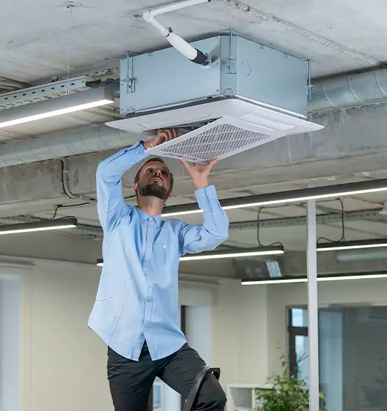 Advanced Rodent Droppings In Vents in Salisbury, MD