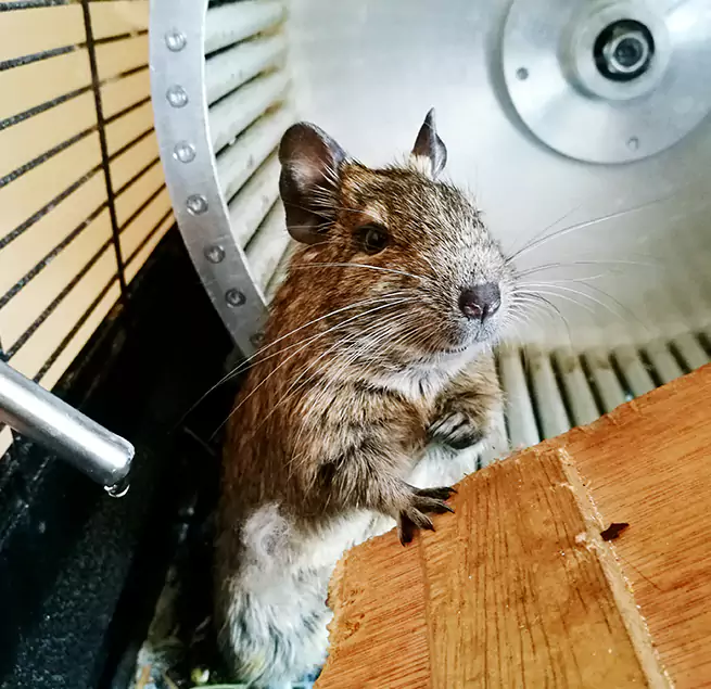 Why Homeowners & Businesses Trust Us Salisbury, MD?