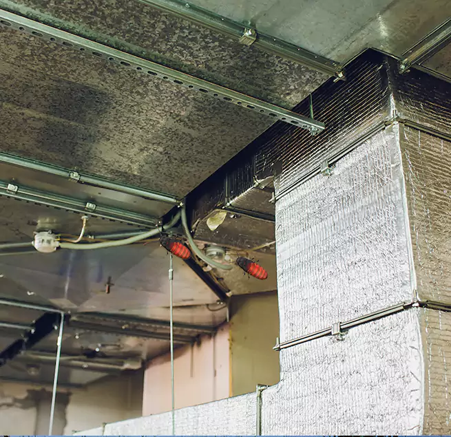 Why Homeowners & Businesses Trust Us Salisbury, MD?