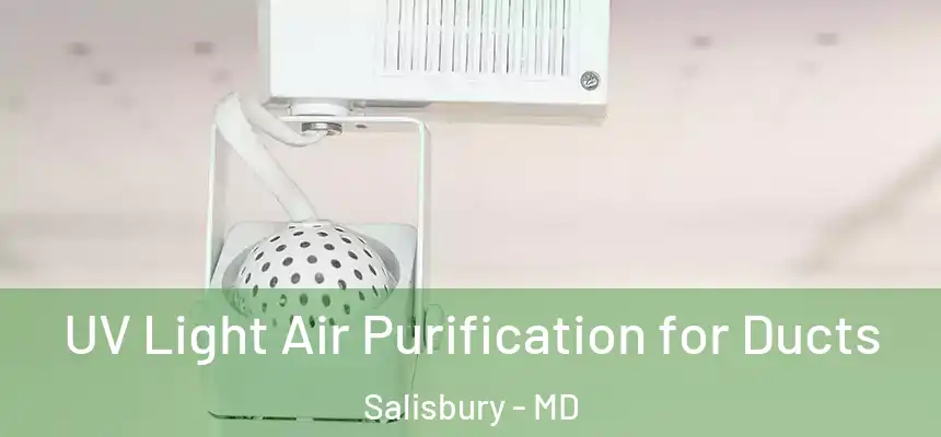  UV Light Air Purification for Ducts Salisbury - MD