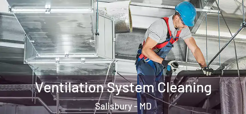 Ventilation System Cleaning Salisbury - MD