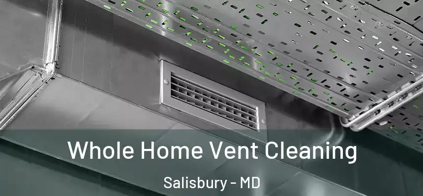  Whole Home Vent Cleaning Salisbury - MD